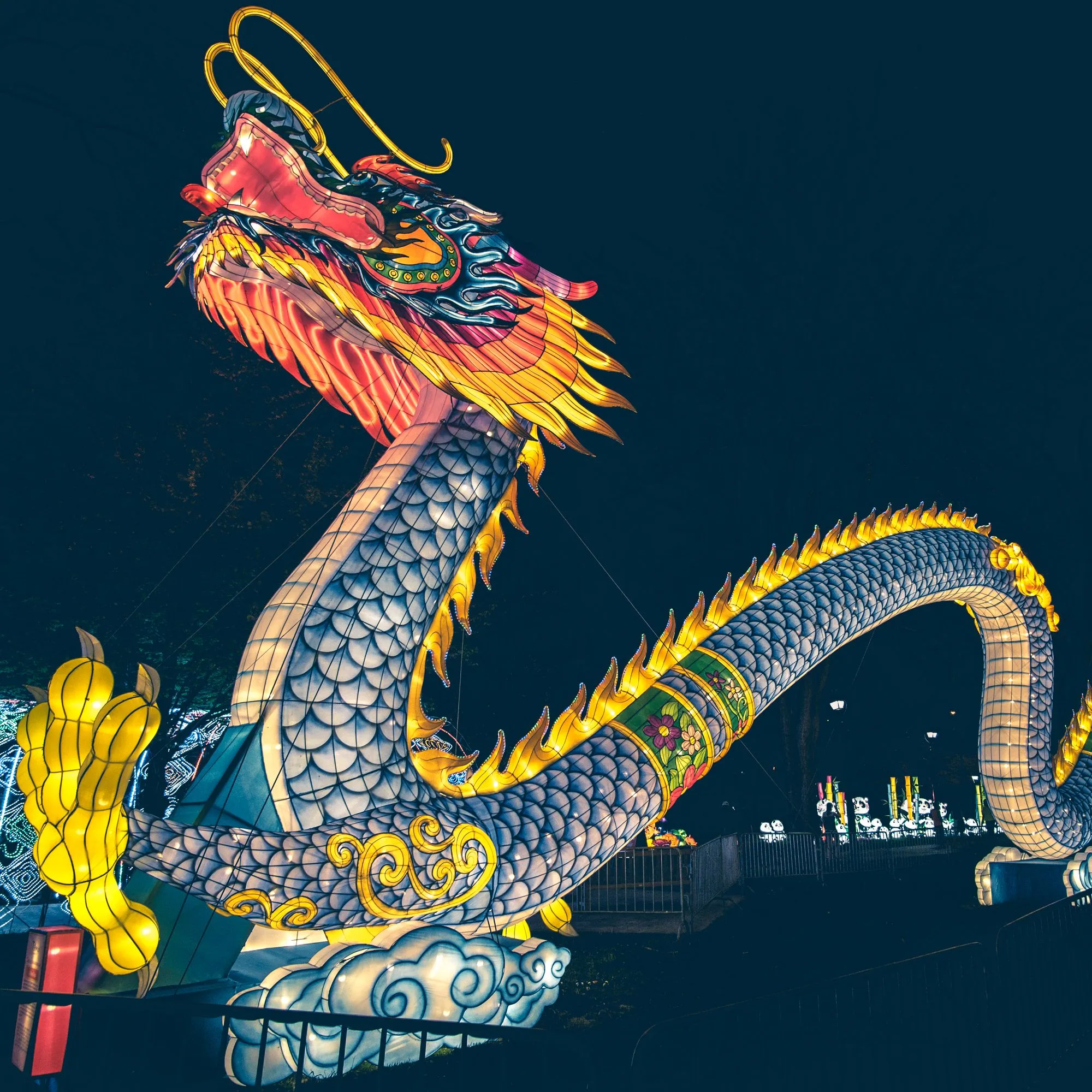 Cover Image for Chinese Lantern Festival