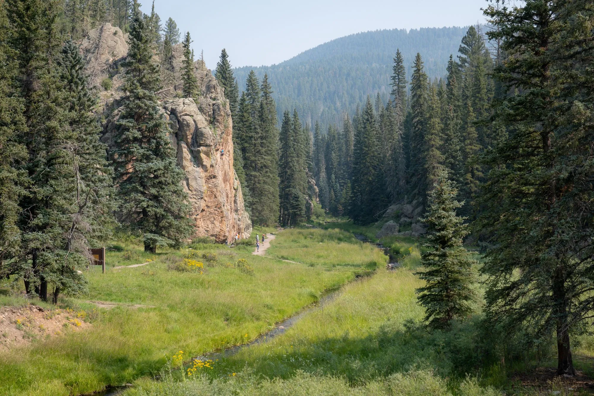 Cover Image for New Mexico Summer