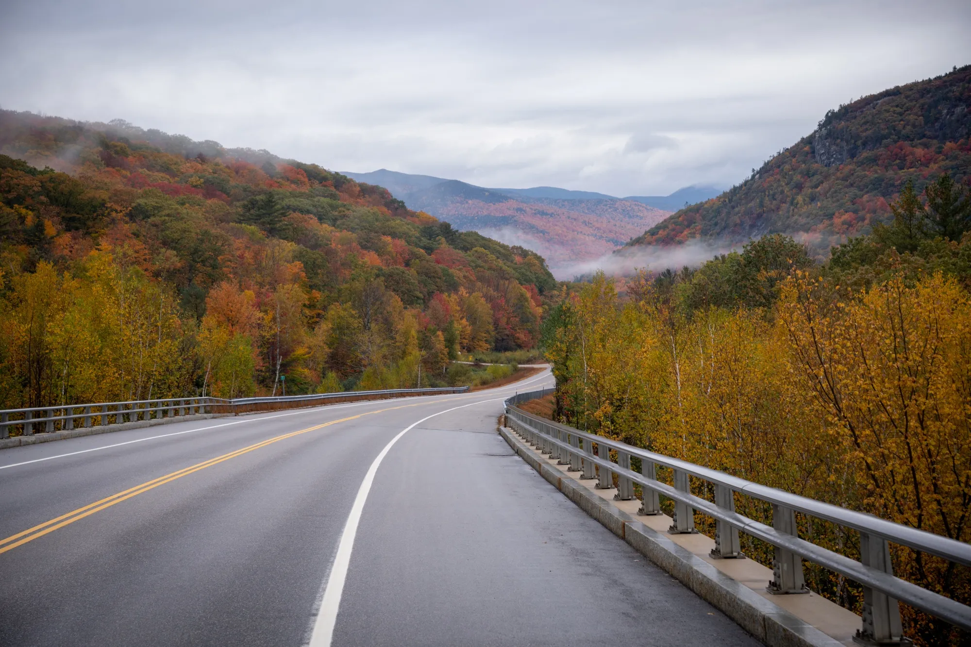 Cover Image for Leaf Peeping