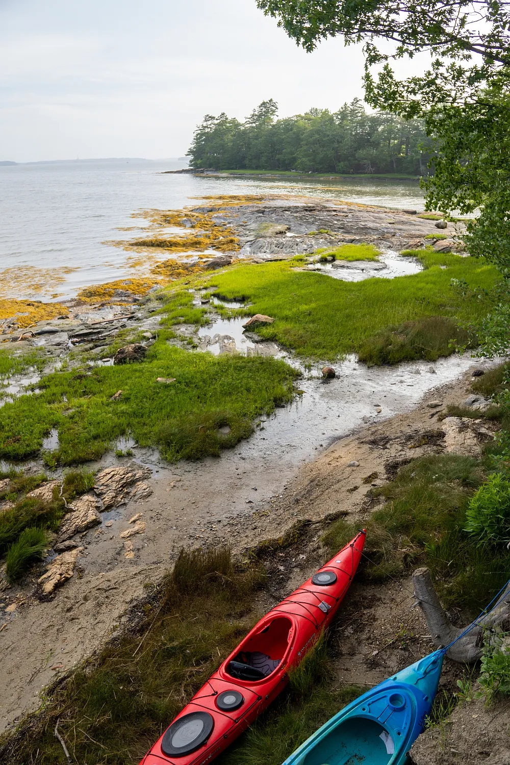 Cover Image for Camping at Wolfe's Neck Maine