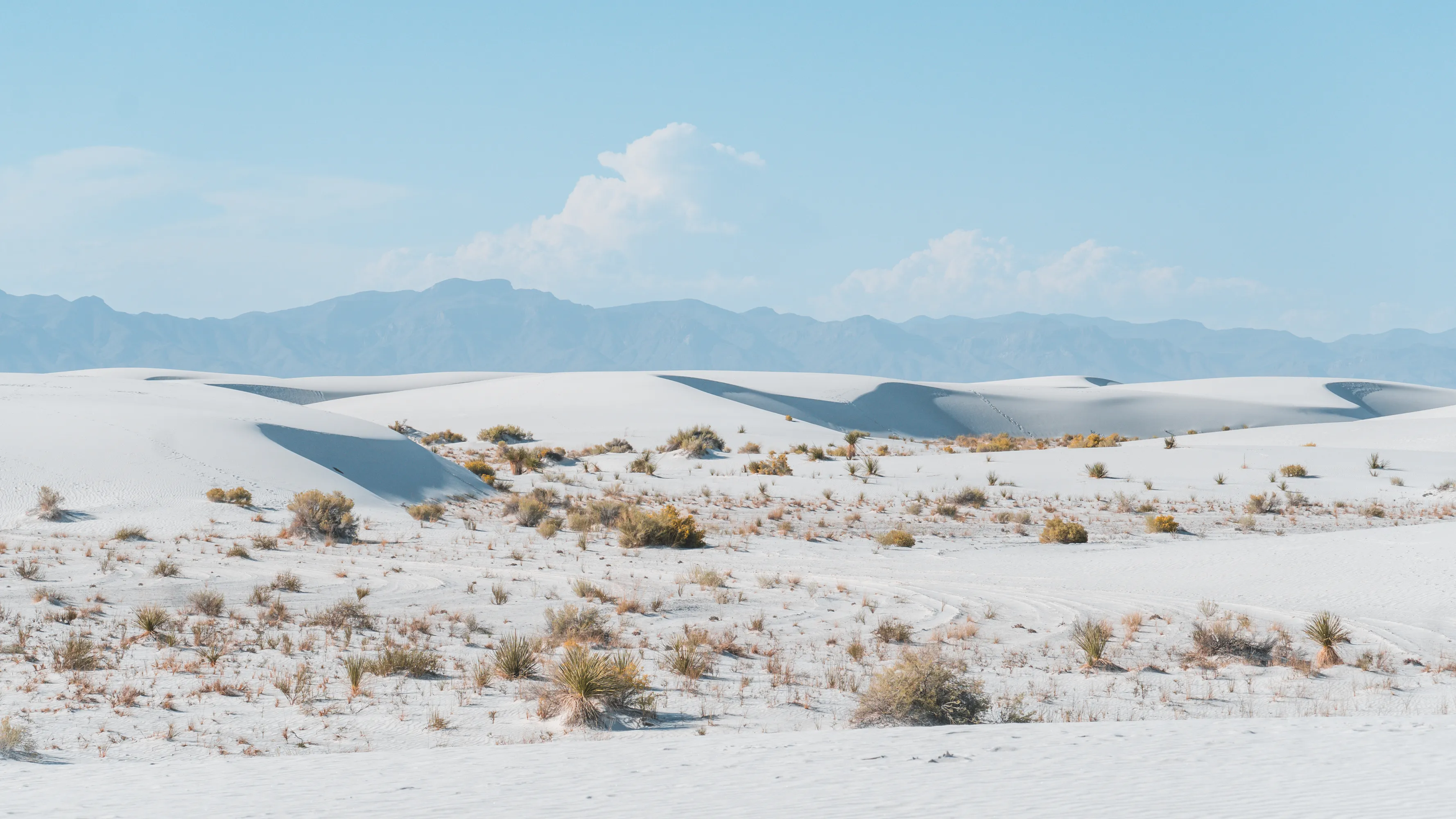 Cover Image for Carlsbad Caverns and White Sands